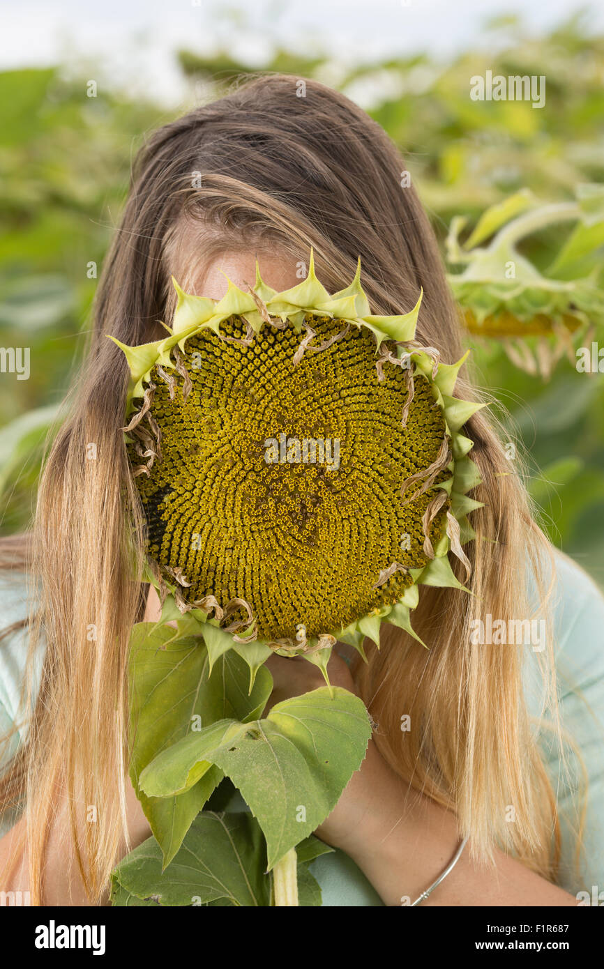 Girl with sunflower Stock Photo - Alamy