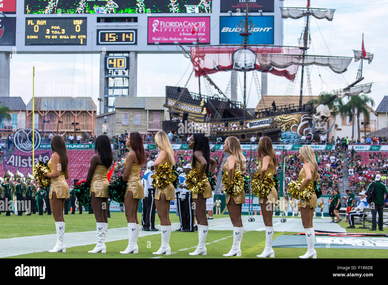 Steven Bench Usf