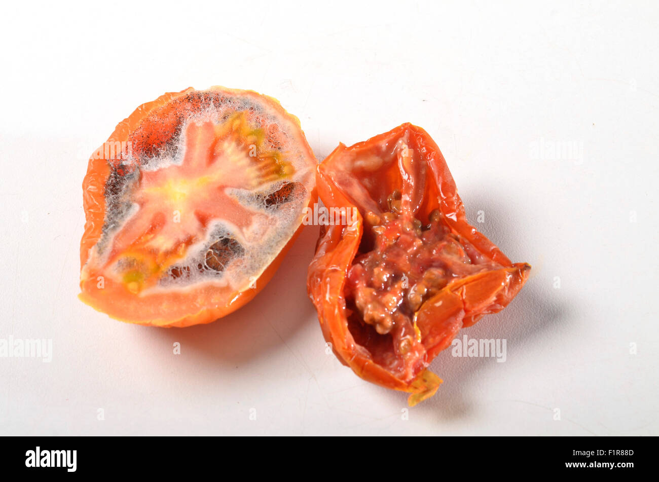 Rotten Tomato Stock Photo