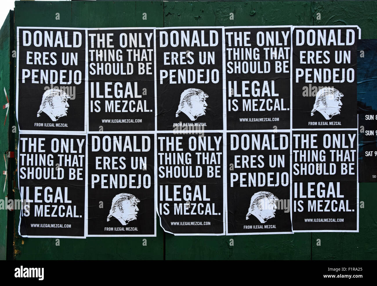 Posters on Bedford Ave in Williamsburg Brooklyn, New York calling Donald Trump a pendejo which is Spanish for idiot Stock Photo