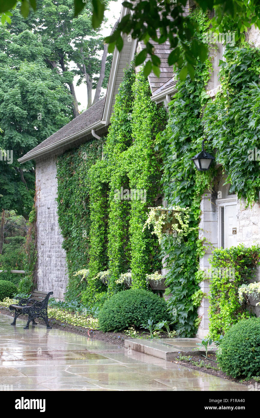 Climbing climb vine hires stock photography and images Alamy