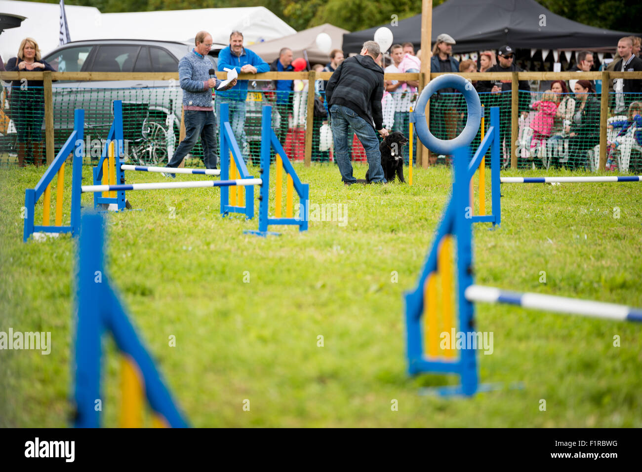 A Dog Agility Competition at The Beckbury Show 2015 Shropshire UK Stock