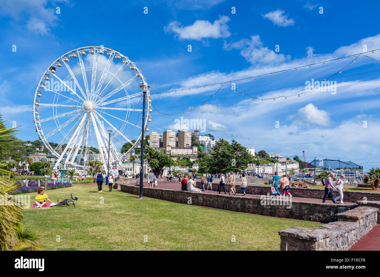 The 'English Riviera Wheel' on the promenade in Torquay in summer 2015, Torbay, Devon, England, UK Stock Photo