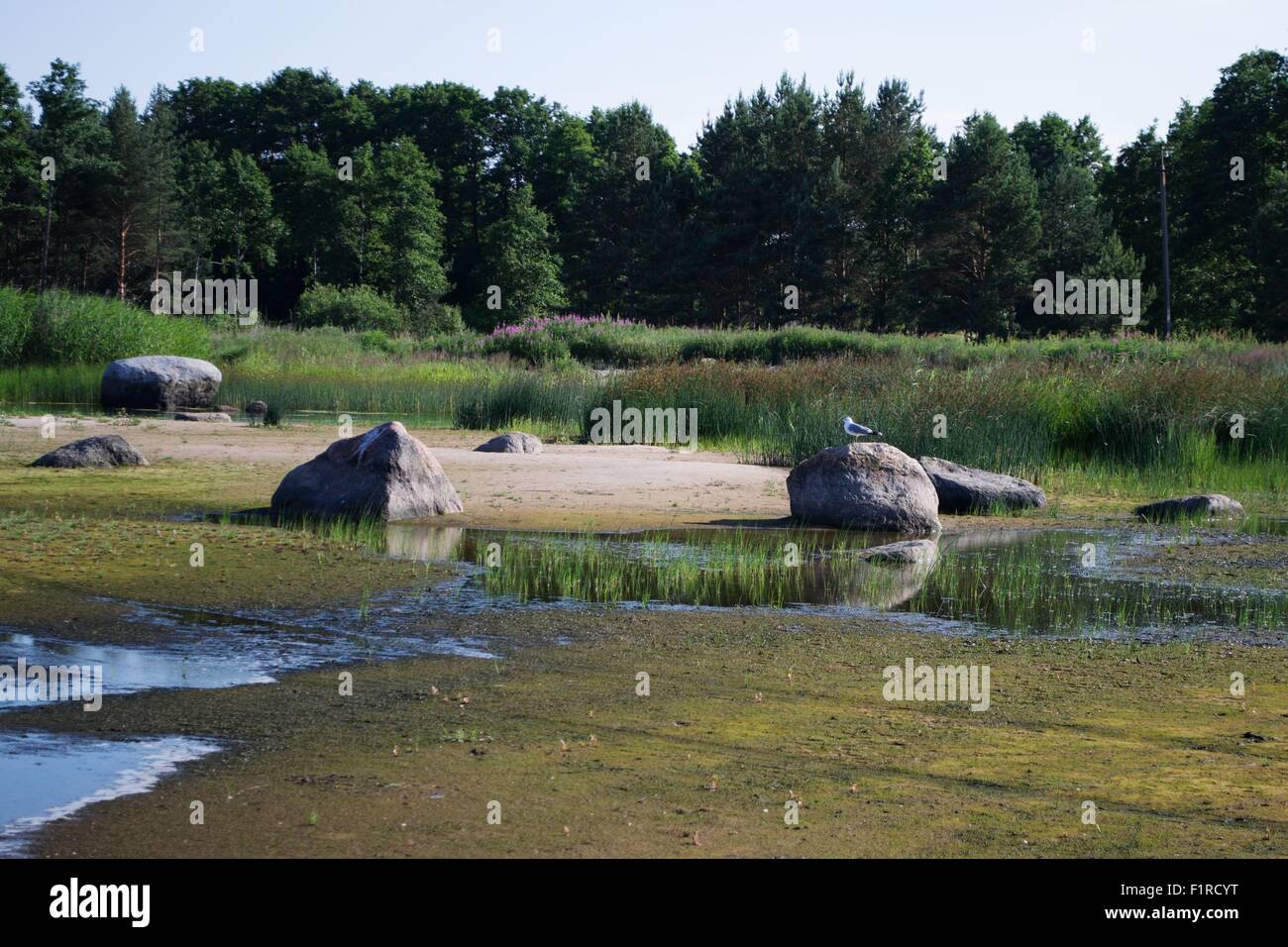 Seaside Stock Photo