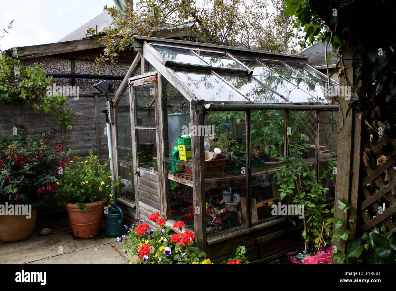 Glass greenhouse hi-res stock photography and images - Alamy