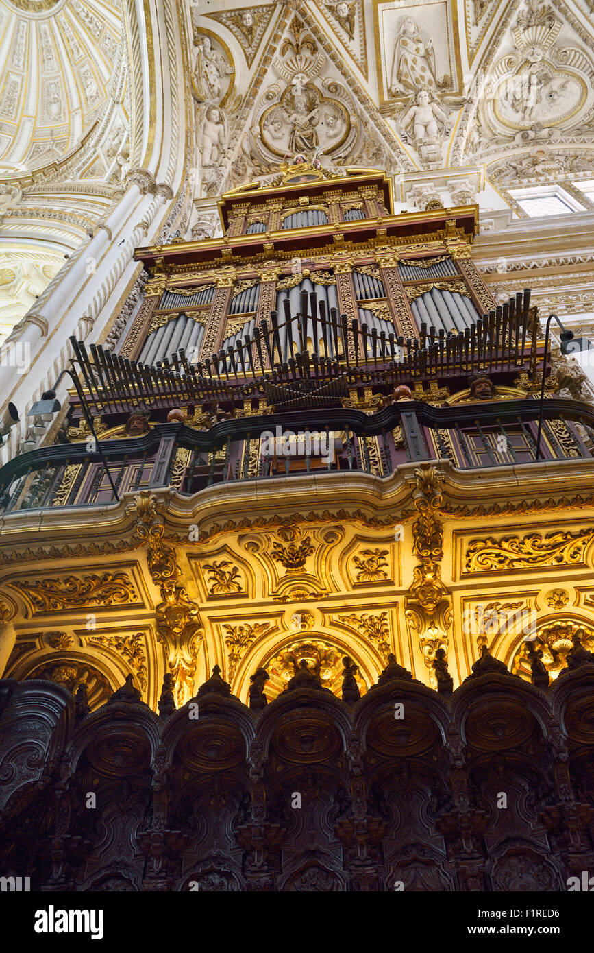 Pipe organ and baroque carved mahogany seats  with vaulted ceiling of the choir of Cordoba Cathedral Mosque Stock Photo