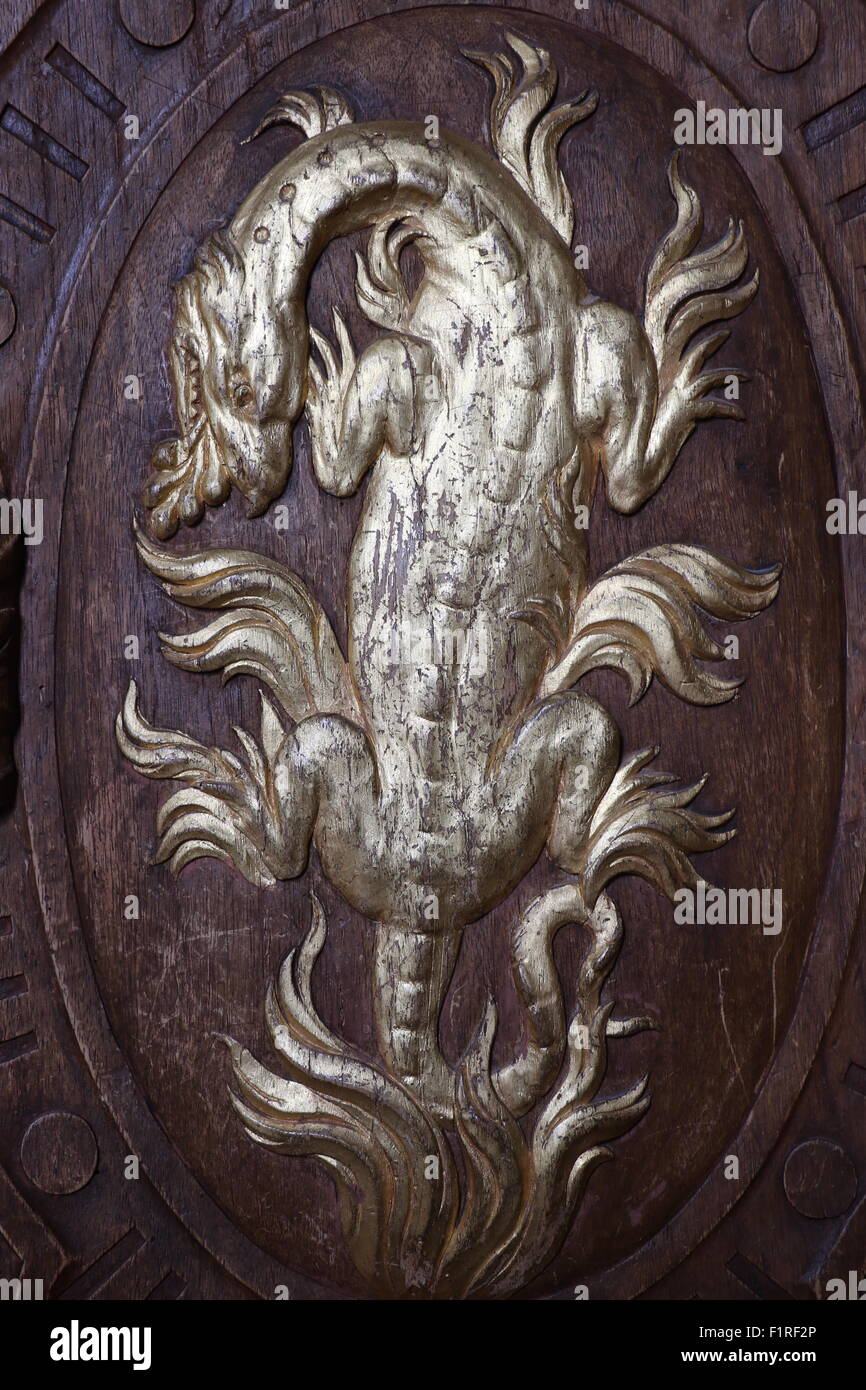 Salamander of the King Francois in the palace of Fontainebleau Stock
