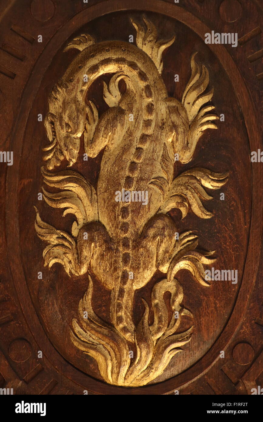 Salamander of the King Francois in the palace of Fontainebleau Stock