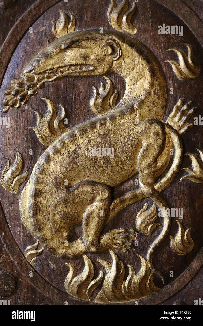 Salamander of the King Francois in the palace of Fontainebleau Stock