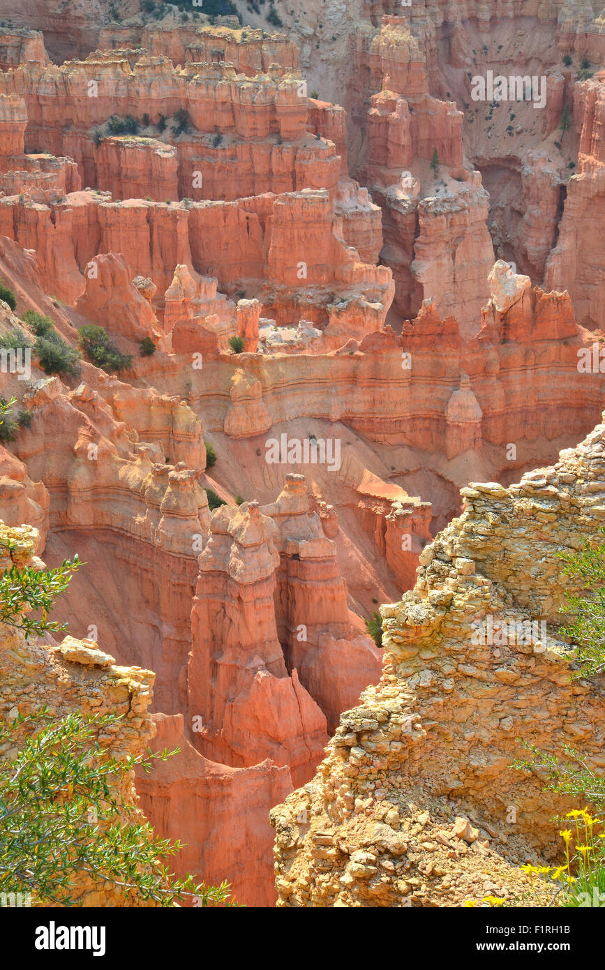 Looking deep into Paria Canyon from Paria Point Overlook in Bryce Canyon National Park in Southwestern Utah Stock Photo