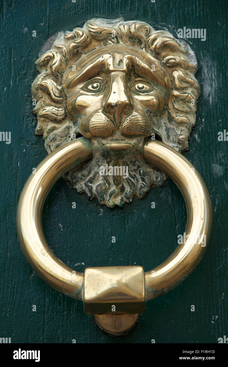 Ornate polished brass door knocker in the shape of a lion’s face. On a green wooden background. Montpellier, South of France. Stock Photo