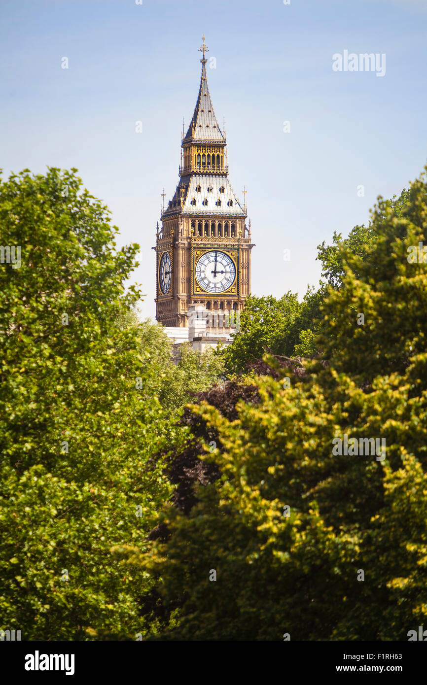Clock face on the famous landmark clock tower known as Big Ben in London, England visible through the trees of a London park. Stock Photo