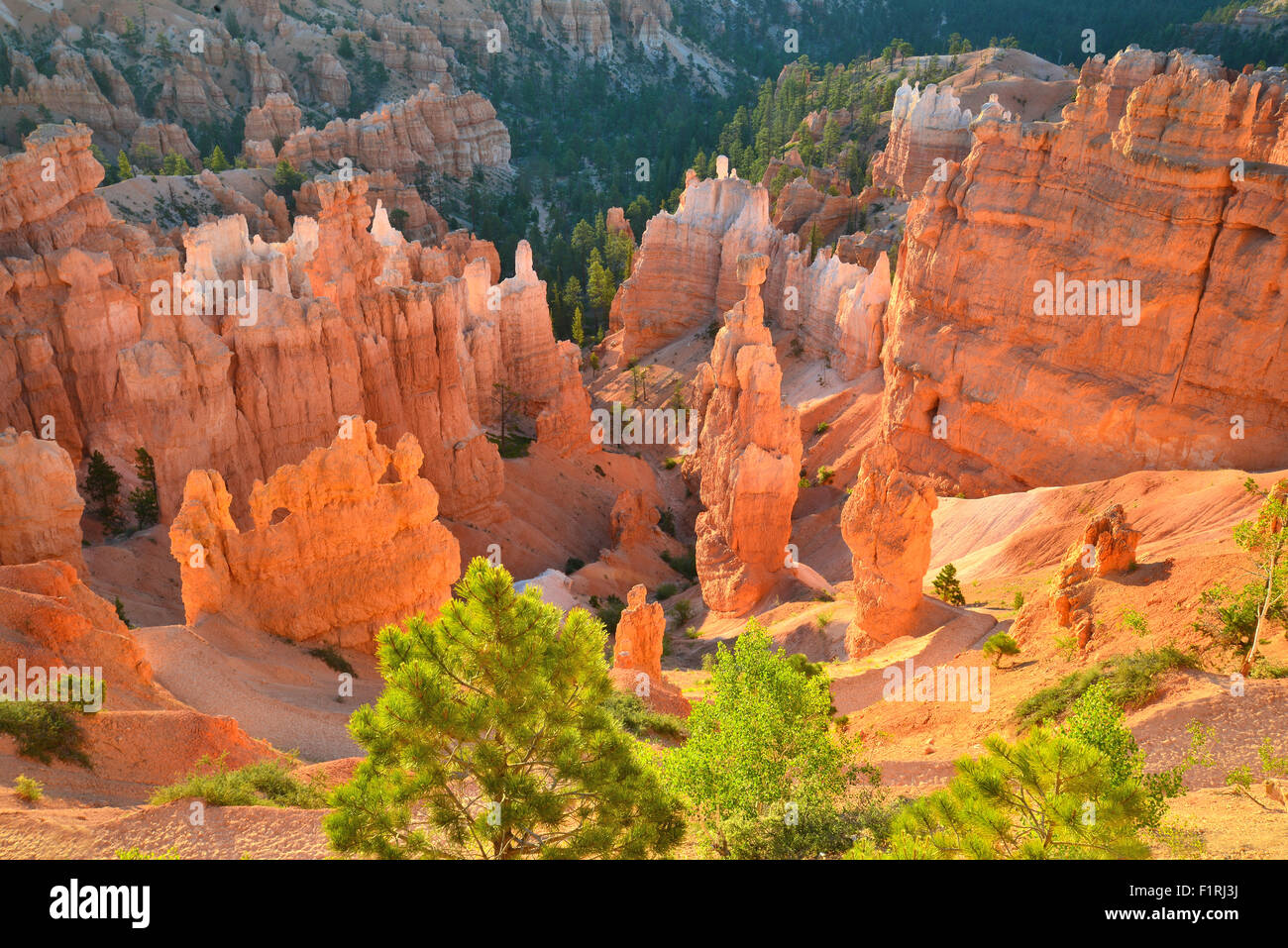 View of Queen's Garden from Navajo Loop Trail below Sunset Point in Bryce Canyon National Park in Southwestern Utah Stock Photo