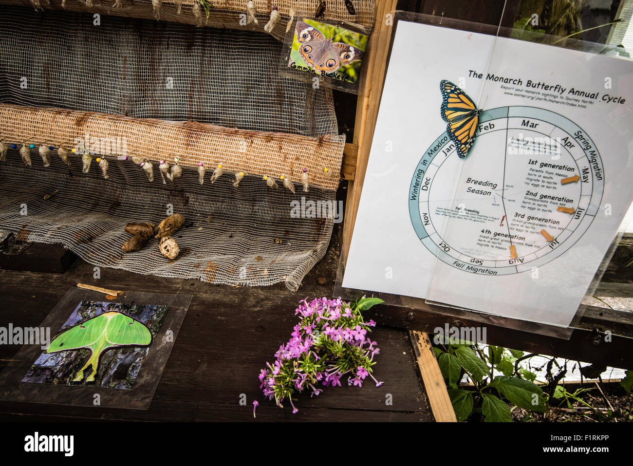 Dreamscapes, festival, Lebanon, PA, USA. 6th Sep, 2015. Annual release