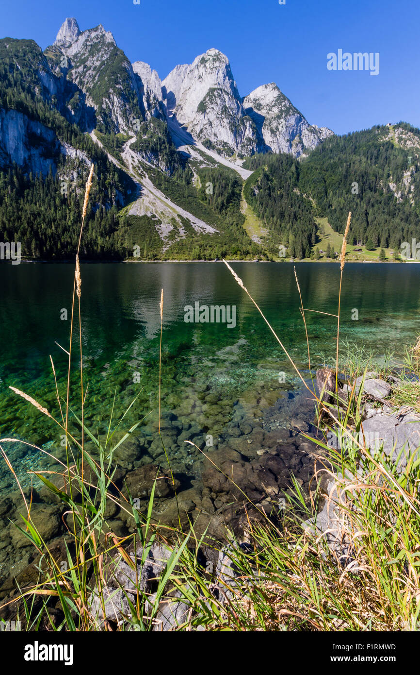 Beautiful landscape of mountains and lake on summertime, Gosausee lake ...