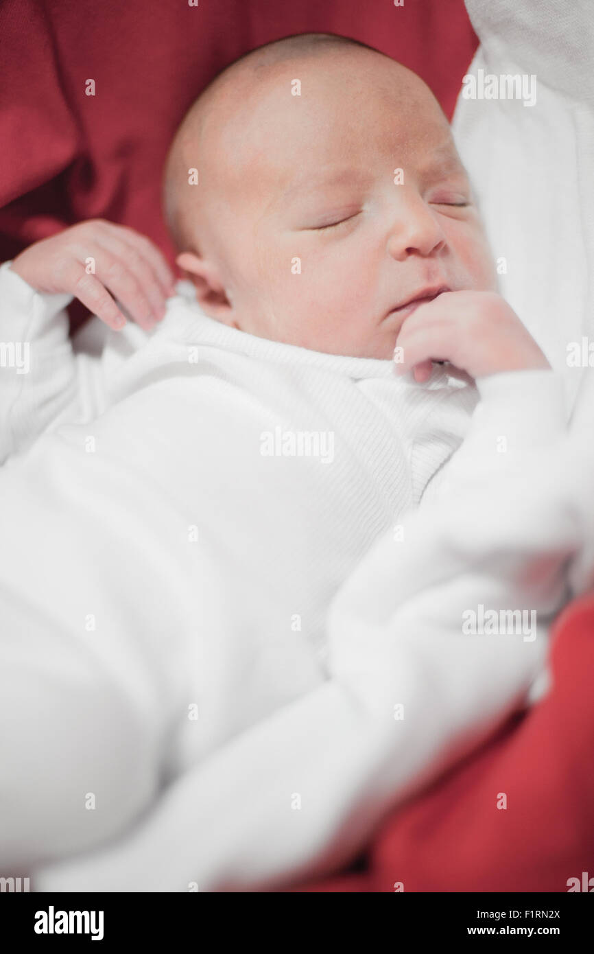 Cute newborn baby girl sleeping Stock Photo