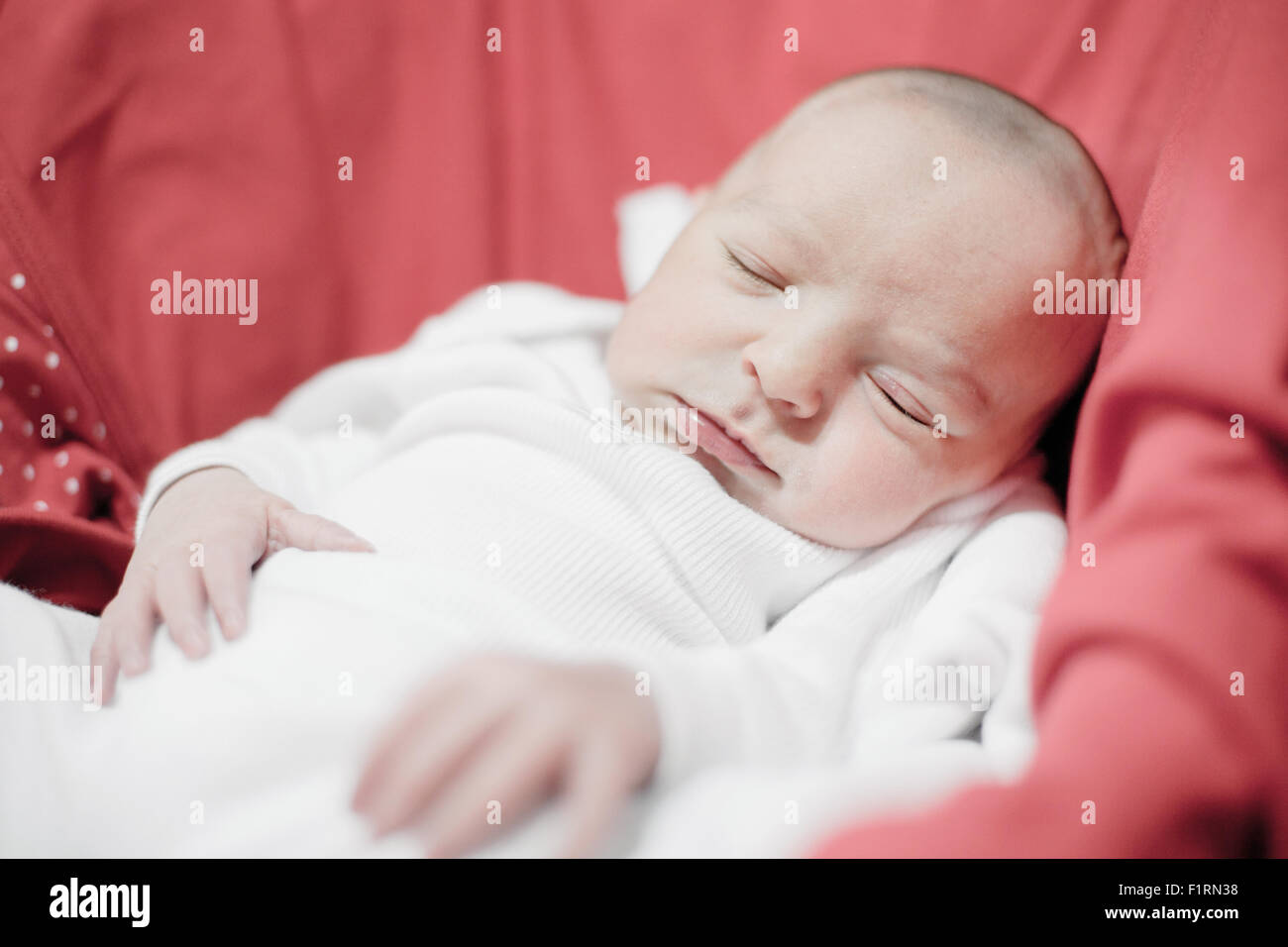 Cute newborn baby girl sleeping calm Stock Photo