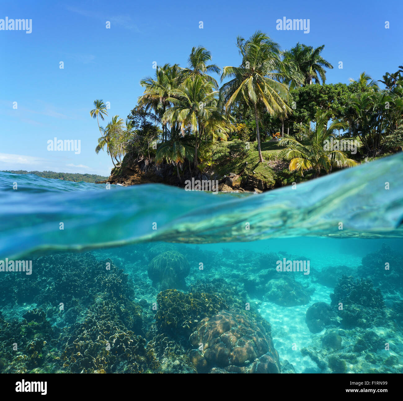 Tropical island and corals underwater split by waterline, Caribbean sea Stock Photo
