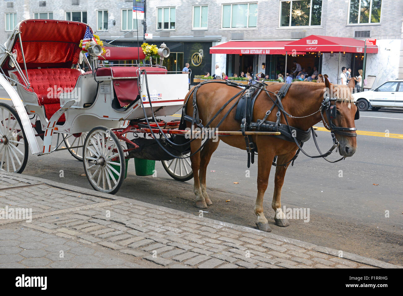 Horse-drawn Carriages horses, New York City Stock Photo - Alamy