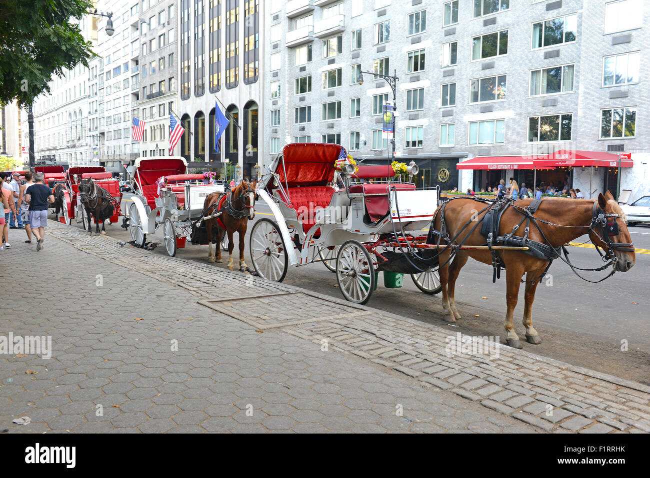 Horse-drawn Carriages horses, New York City Stock Photo - Alamy