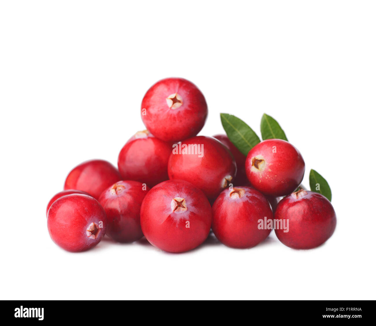 Cranberry leaf hires stock photography and images Alamy