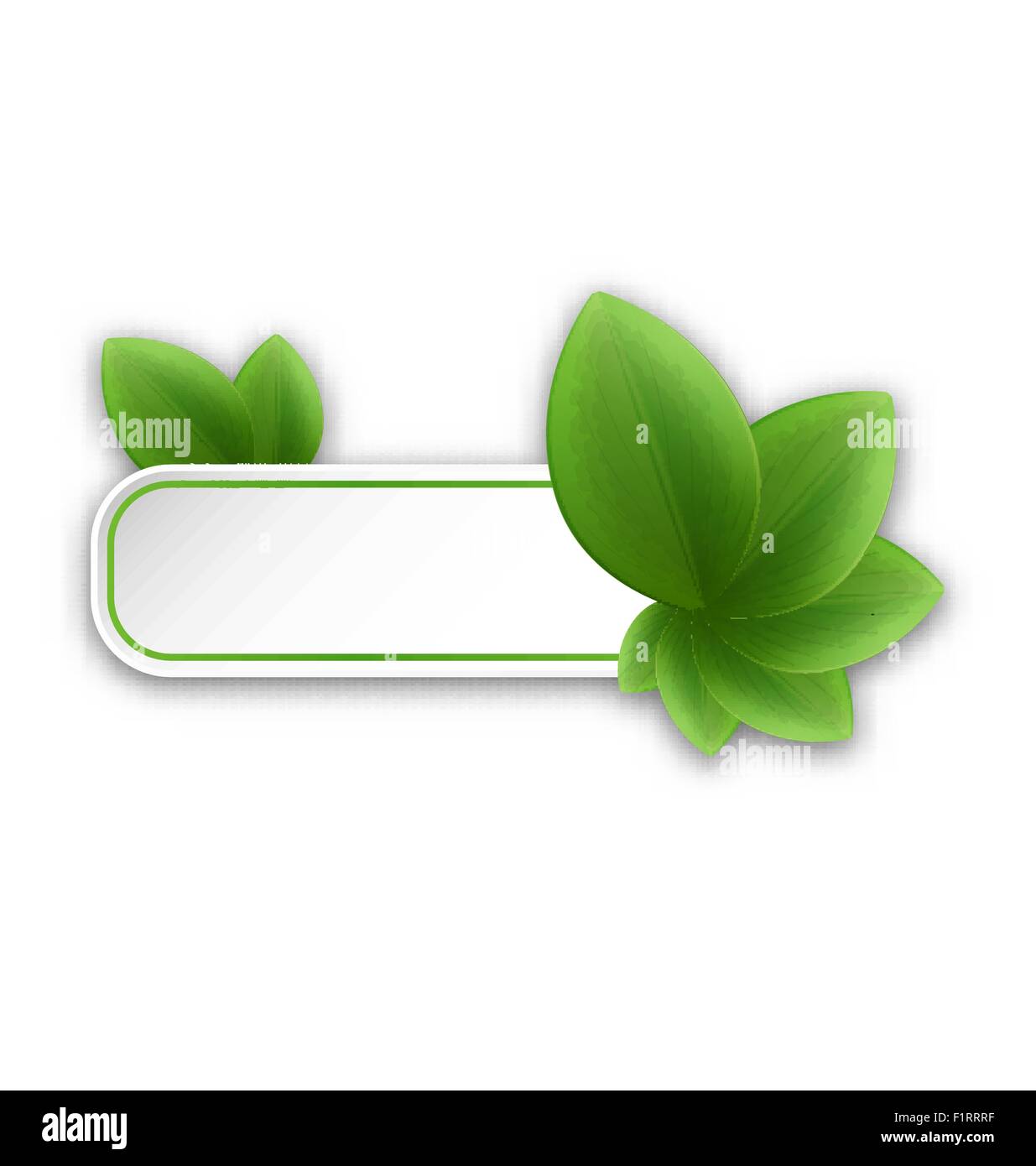Eco friendly banner with green leaves Stock Vector Image & Art - Alamy