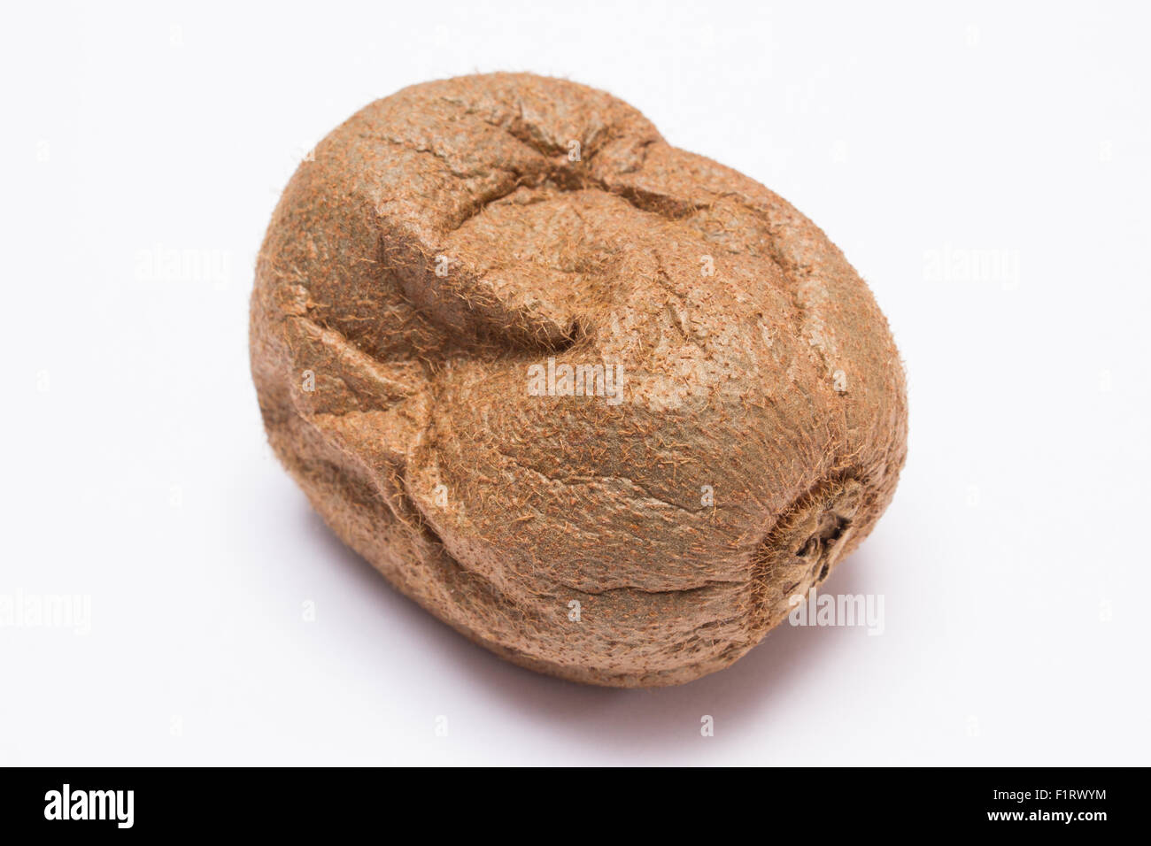 Spoiled damage kiwi on white background, unhealthy eating Stock Photo