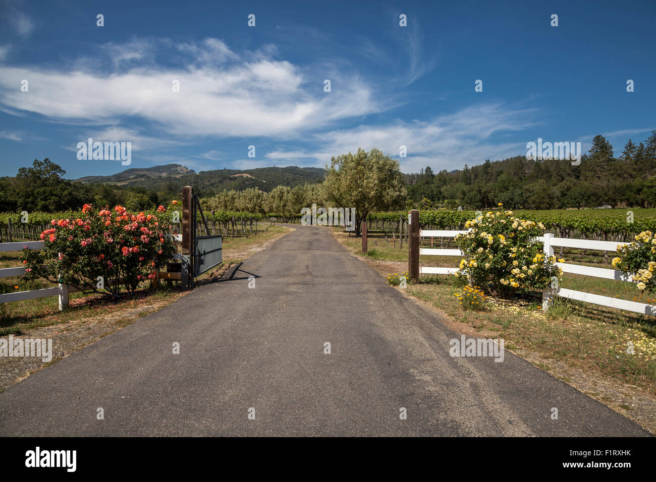 Entrance at Atwood Ranch, Glen Ellen, California, USA Stock Photo