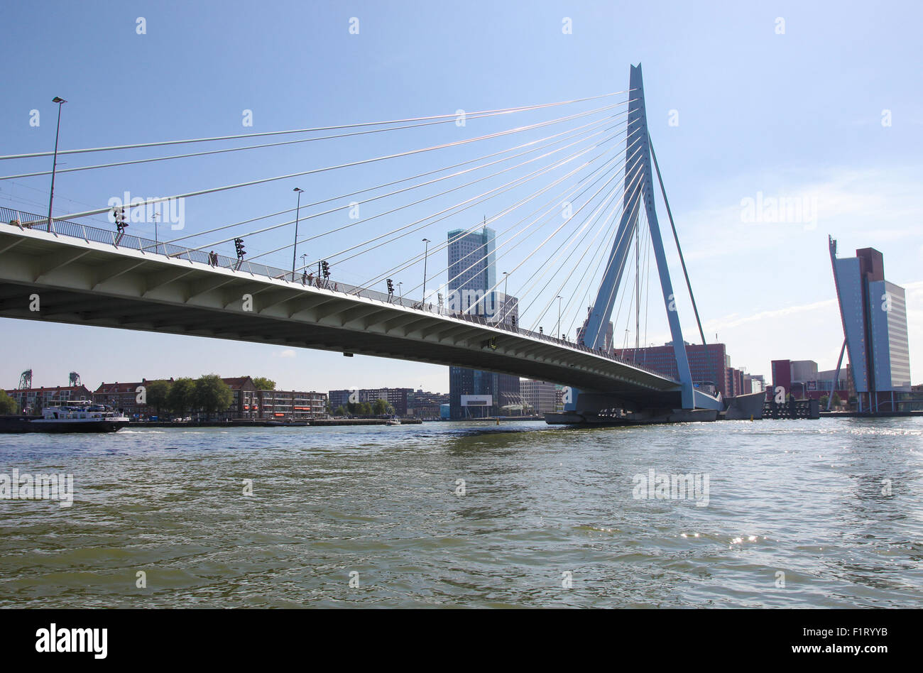 ROTTERDAM, THE NETHERLANDS - AUGUST 9, 2015: View on the city center and the Erasmus Bridge in Rotterdam, South Holland, The Net Stock Photo