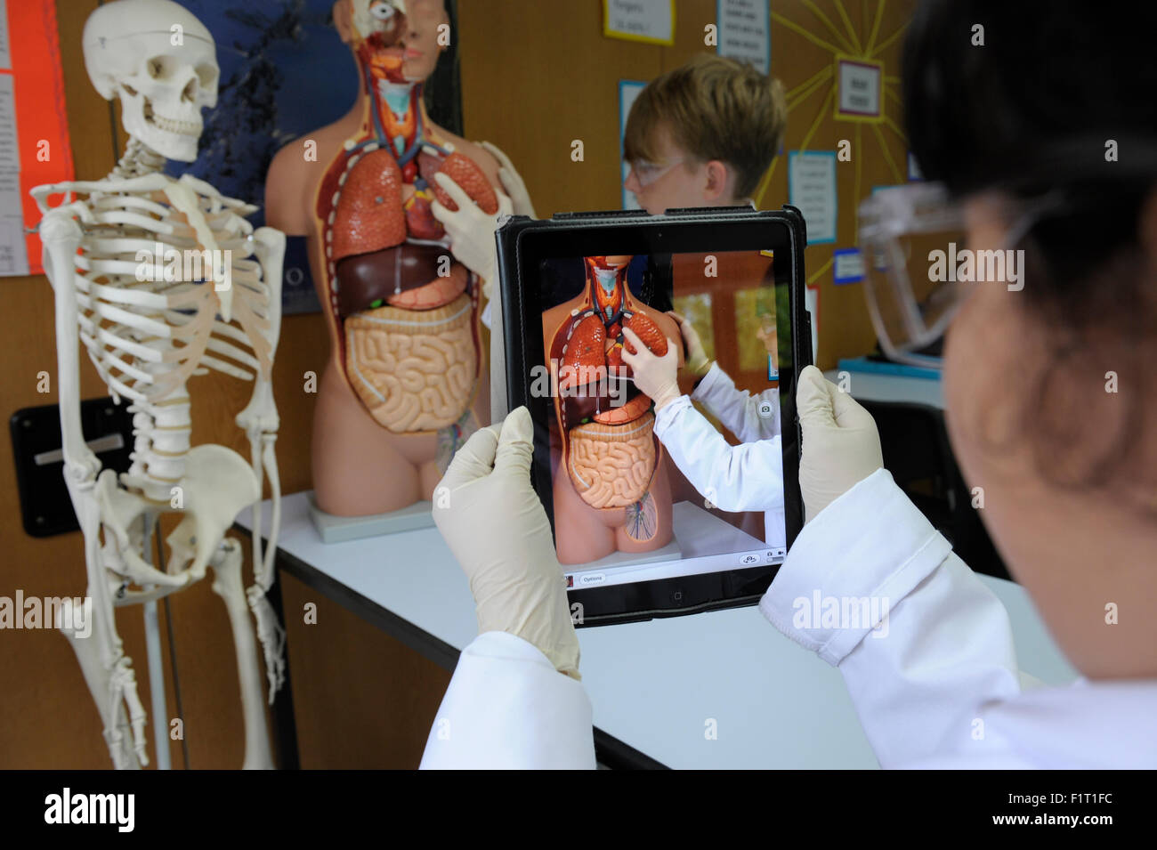School biology hi-res stock photography and images - Alamy