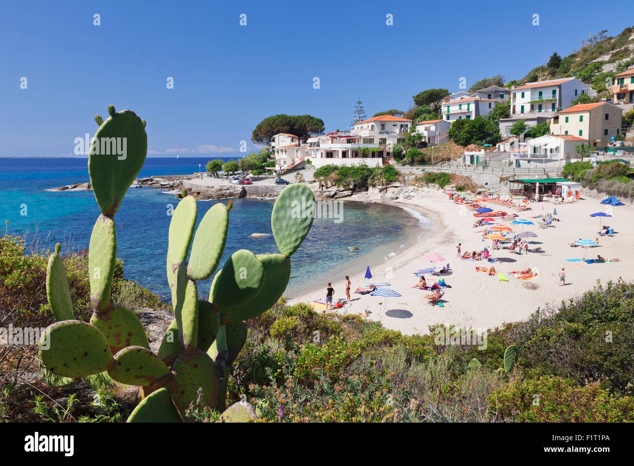 Beach of Seccheto, Island of Elba, Livorno Province, Tuscany, Italy, Europe Stock Photo