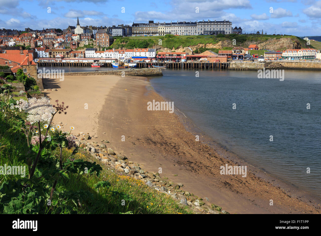 Tate Hill Beach, cliff side wild spring flowers, view to town and West Cliff, Whitby, North Yorkshire, England, United Kingdom Stock Photo