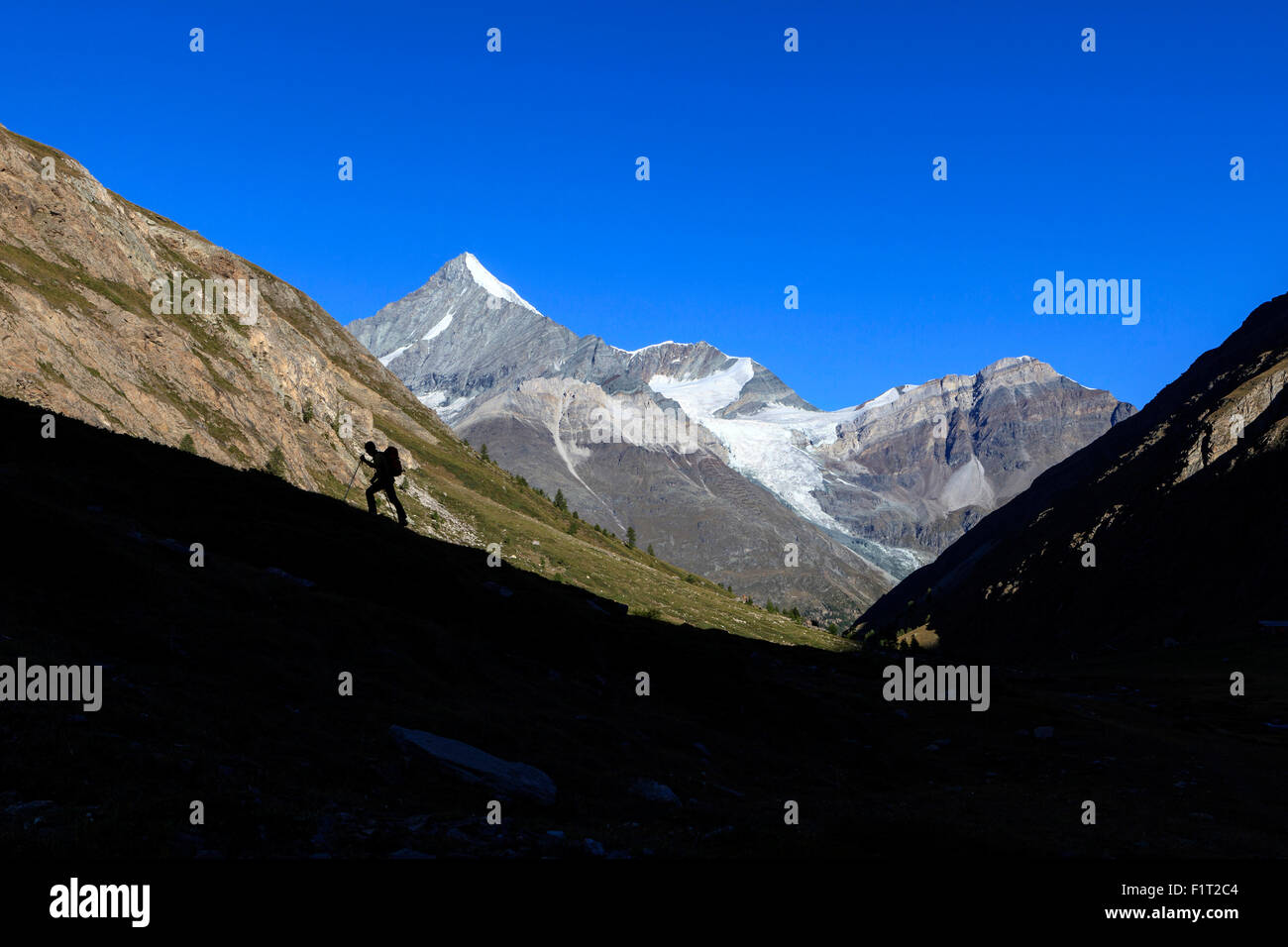 Hiker climbs the ridge, Weisshorn, Tasch Valley, Zermatt, Canton of Valais, Pennine Alps, Swiss Alps, Switzerland Stock Photo