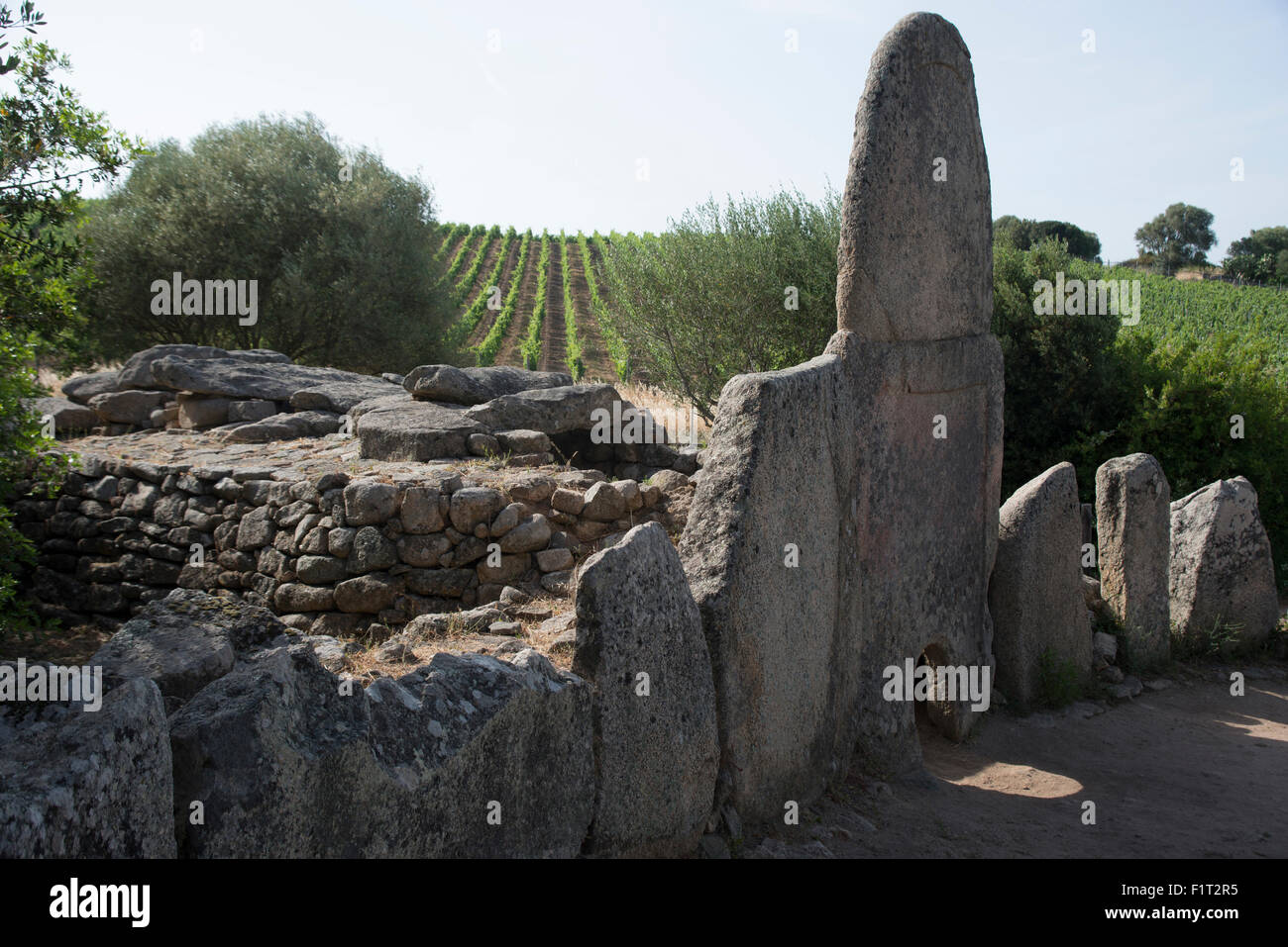 Coddhu Vecchju (Tomba di Giganti), a megalithic Sardinian gallery grave, near Arzachena, Sardinia, Italy, Europe Stock Photo