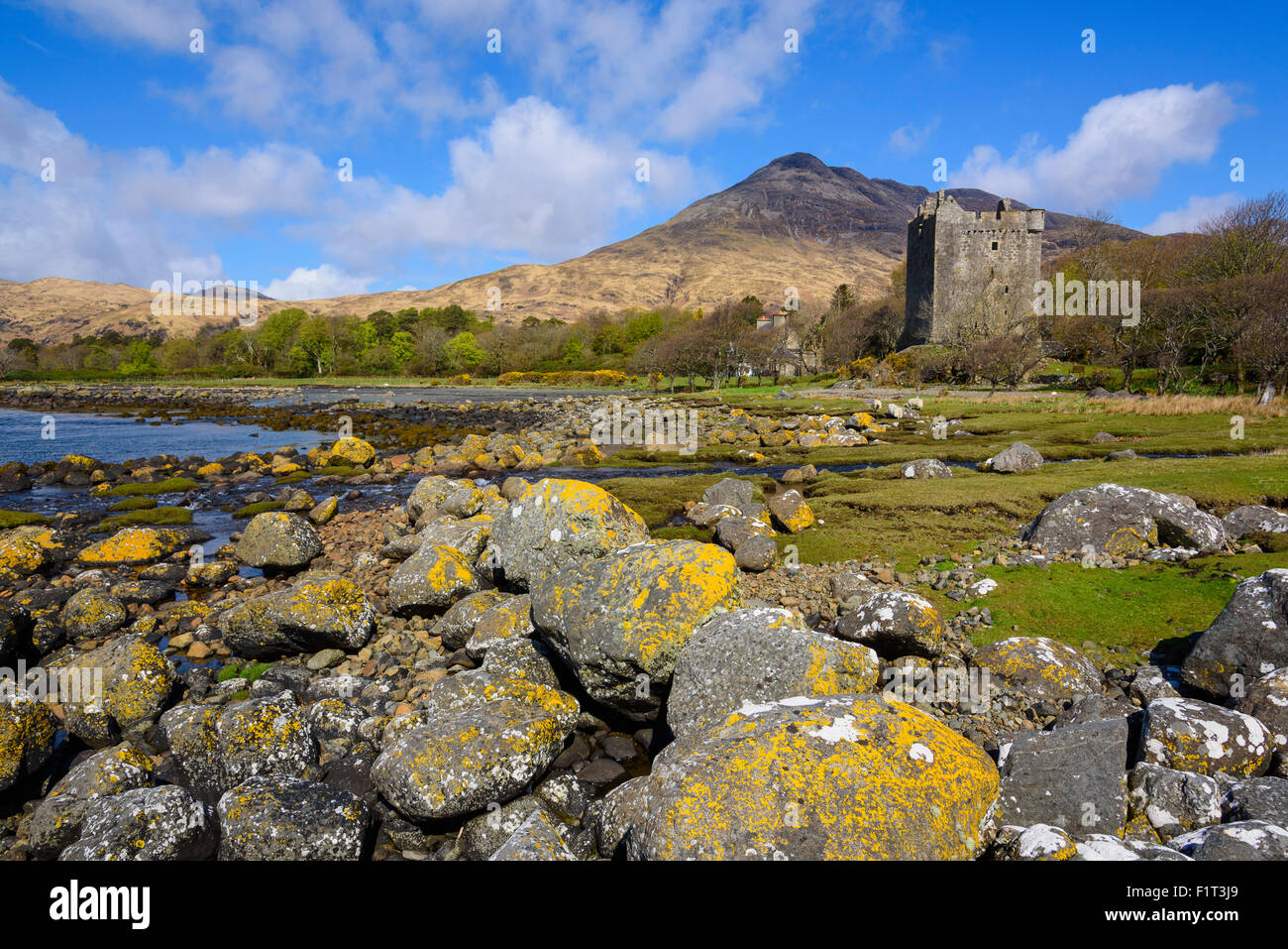 Moy Castle, Lochbuie, Isle of Mull, Inner Hebrides, Argyll and Bute