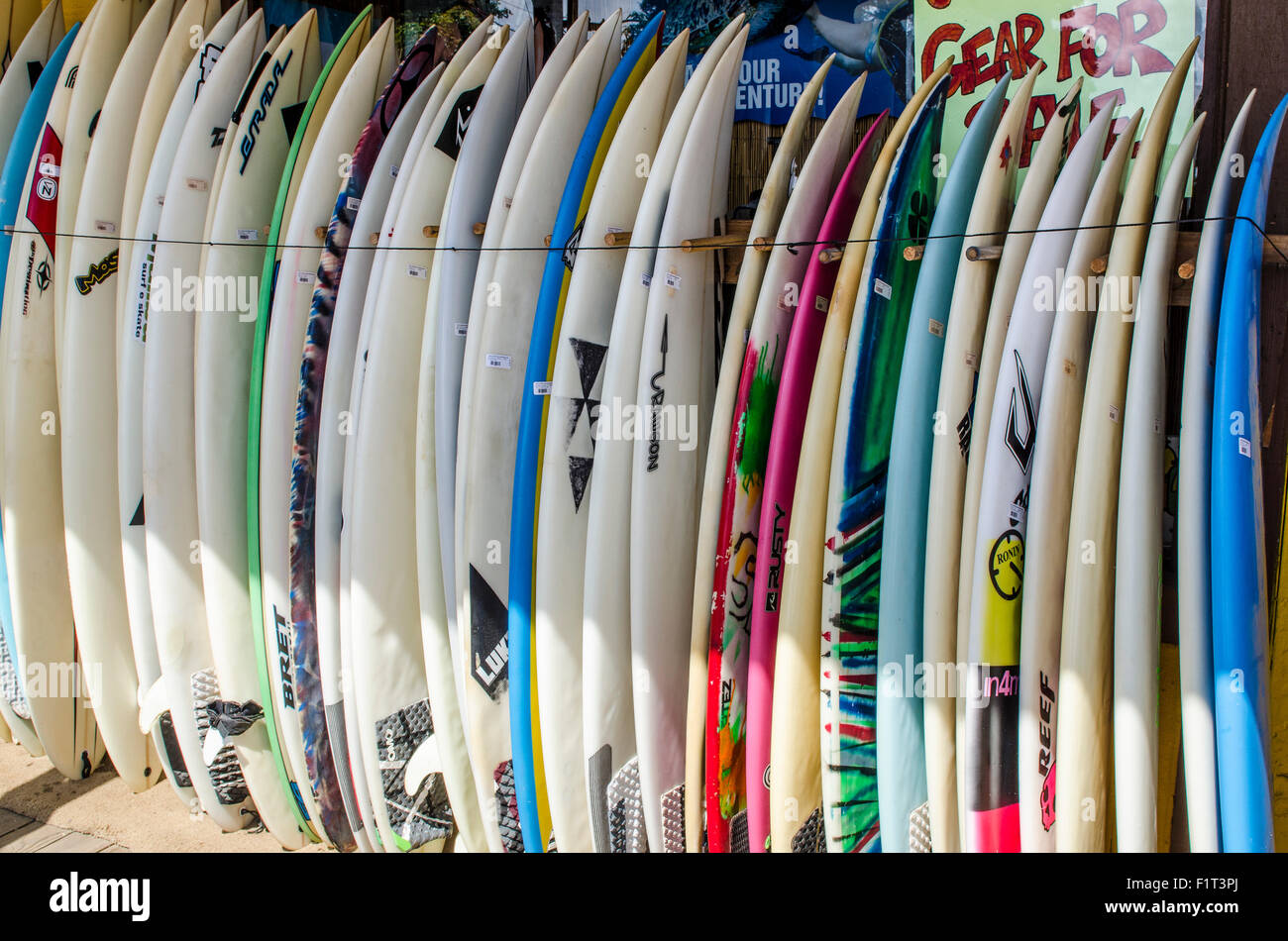 North shore surf shop haleiwa hi-res stock photography and images - Alamy North shore surf shop haleiwa hi-res stock photography and images - Alamy