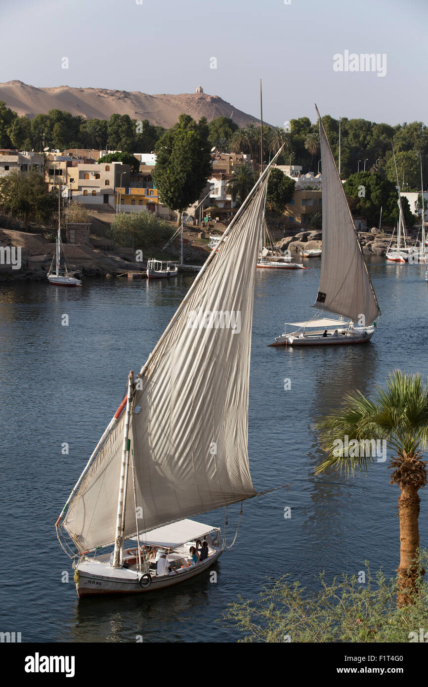 Feluccas sailing on the River Nile, Aswan, Egypt, North Africa, Africa Stock Photo