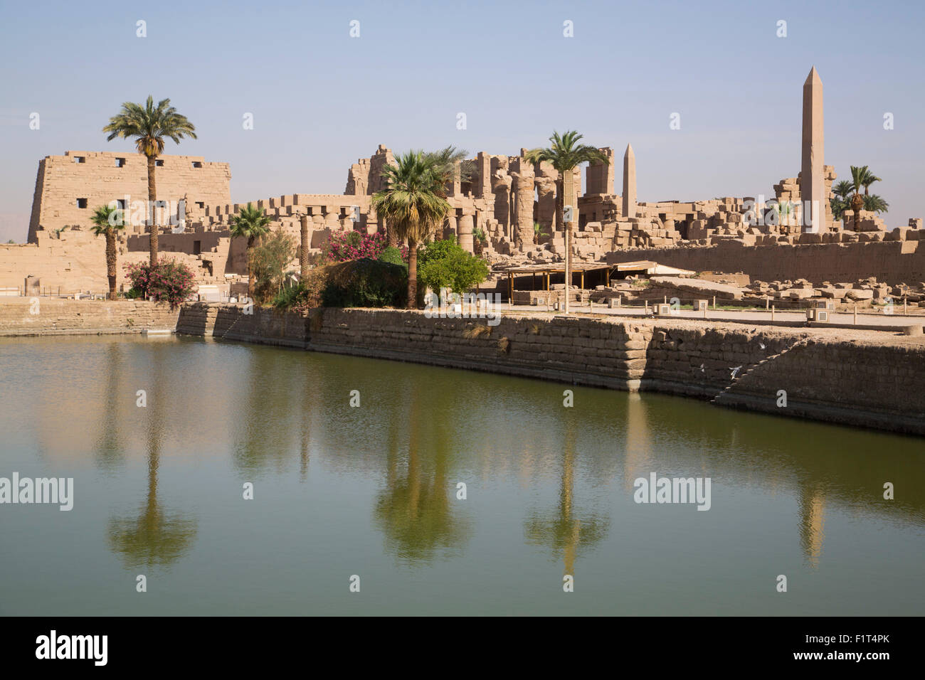 Sacred Lake (foreground), Karnak Temple, Luxor, Thebes, UNESCO World Heritage Site, Egypt, North Africa, Africa Stock Photo