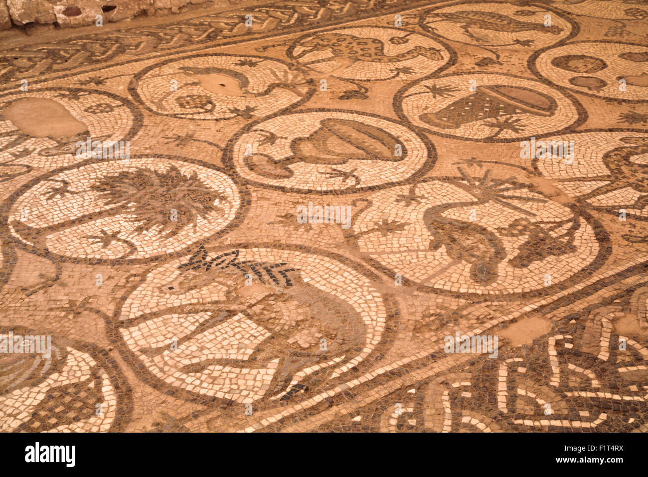 Floor mosaics, Petra Church (Byzantine Church), built between the 5th and 7th centuies AD, Petra, UNESCO, Jordan, Middle East Stock Photo