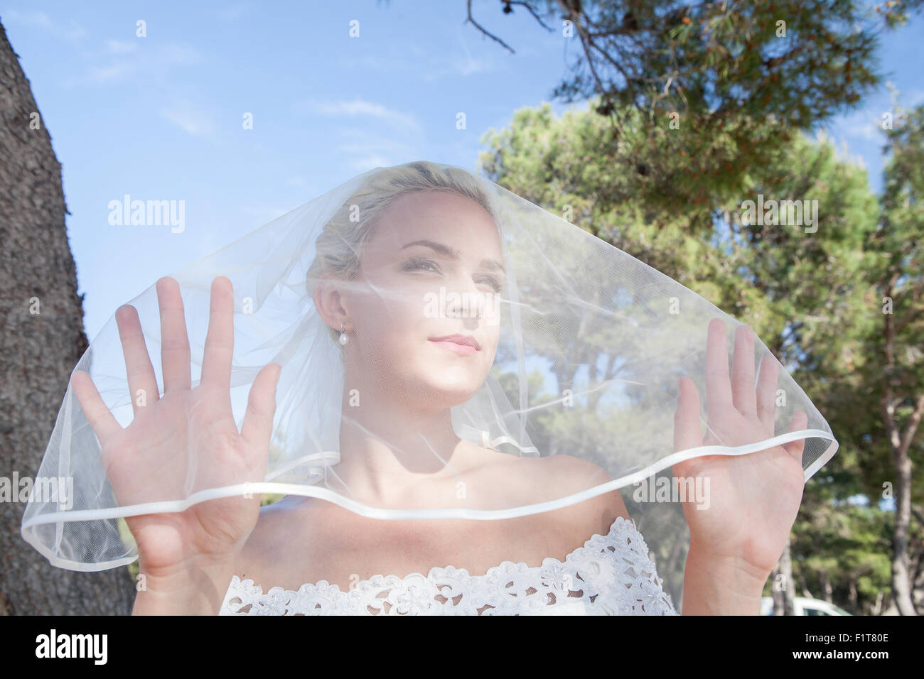 Portrait of bride in wedding dress with veil Stock Photo - Alamy