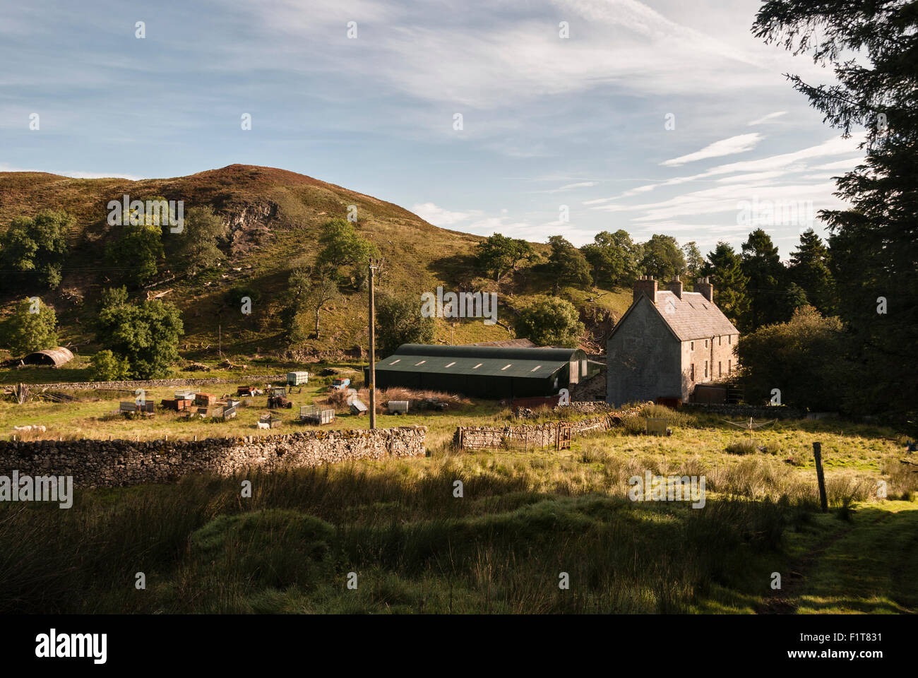 A typical small farm in the Scottish Borders outside the village of Ashkirk, near Selkirk Stock