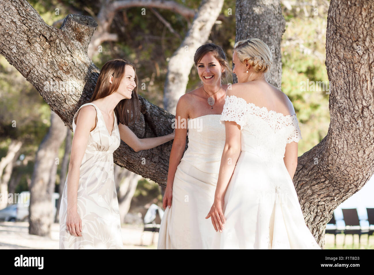 Bridesmaids Look Smiling Bride All Same Couch Veil Bride Her Stock Photo by  ©Vasilij33 665313740