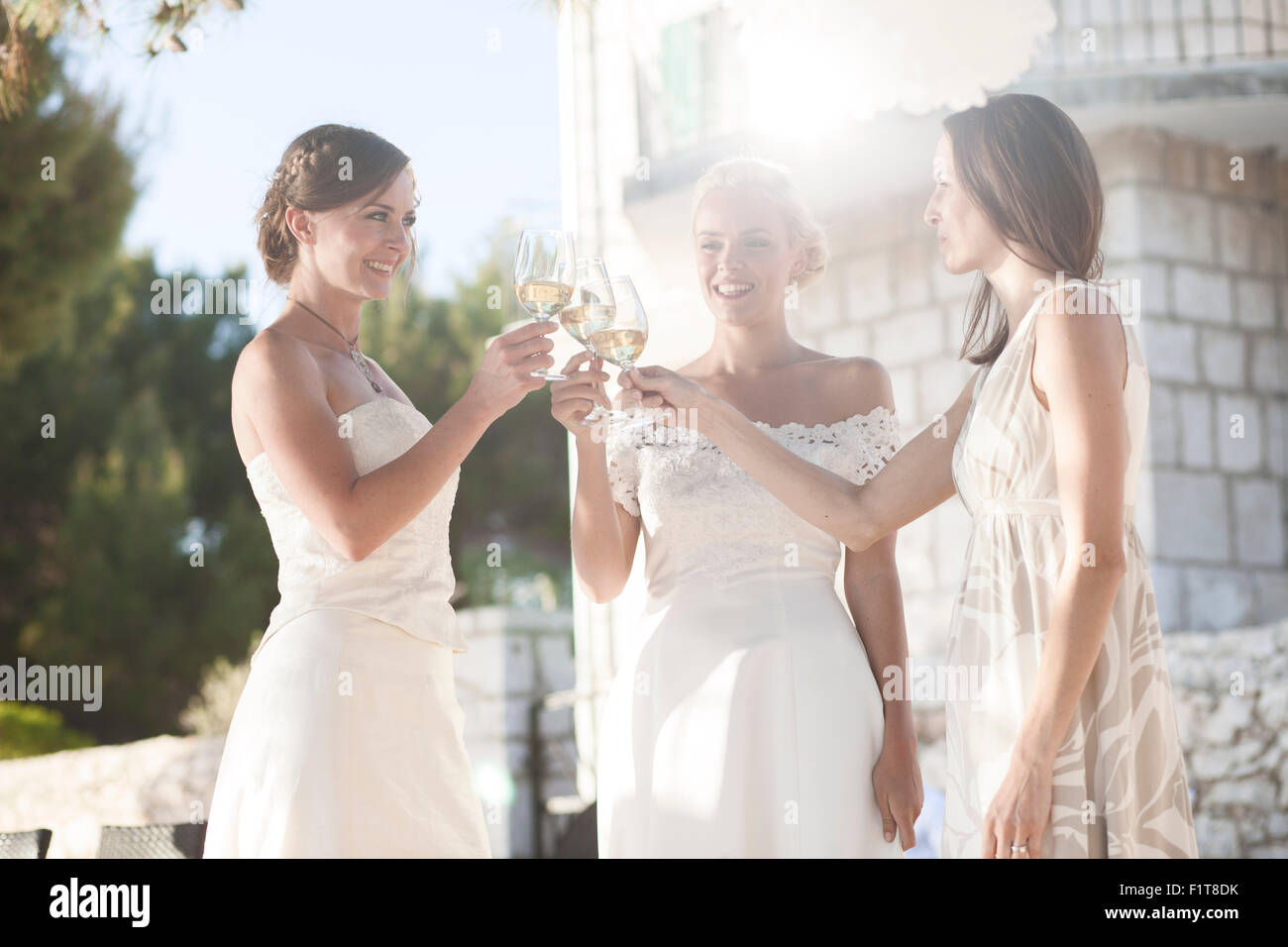 Bride and bridesmaids toasting on wedding party Stock Photo