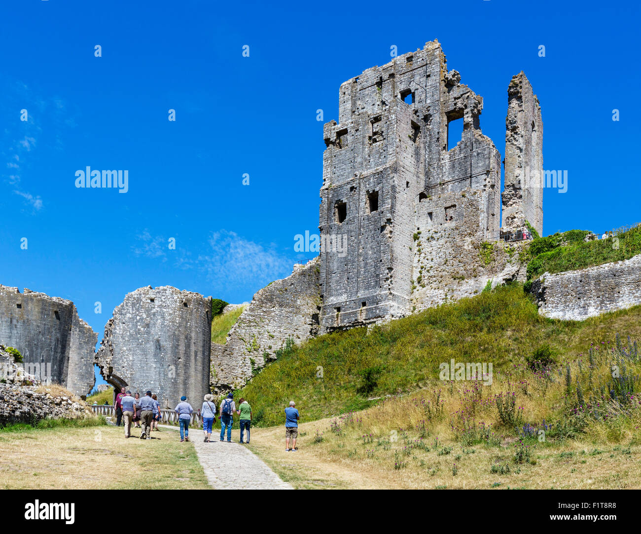 The ruins of Corfe Castle from the outer bailey, Isle of Purbeck, Dorset, England, UK Stock Photo