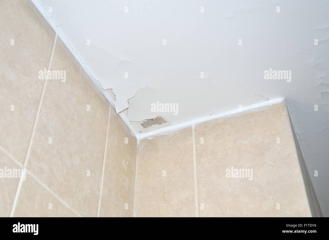 Ceiling Crack Stock Photos Ceiling Crack Stock Images Alamy