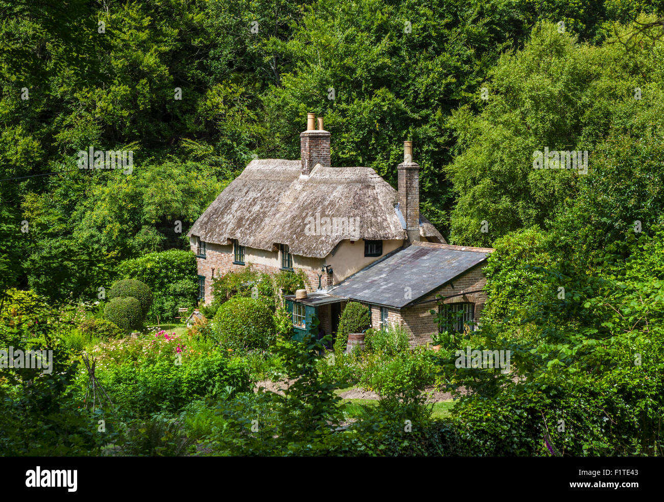 Hardy's Cottage, birthplace of writer Thomas Hardy, Thorncombe Wood, Higher Bockhampton, near Dorchester, Dorset, England, UK Stock Photo