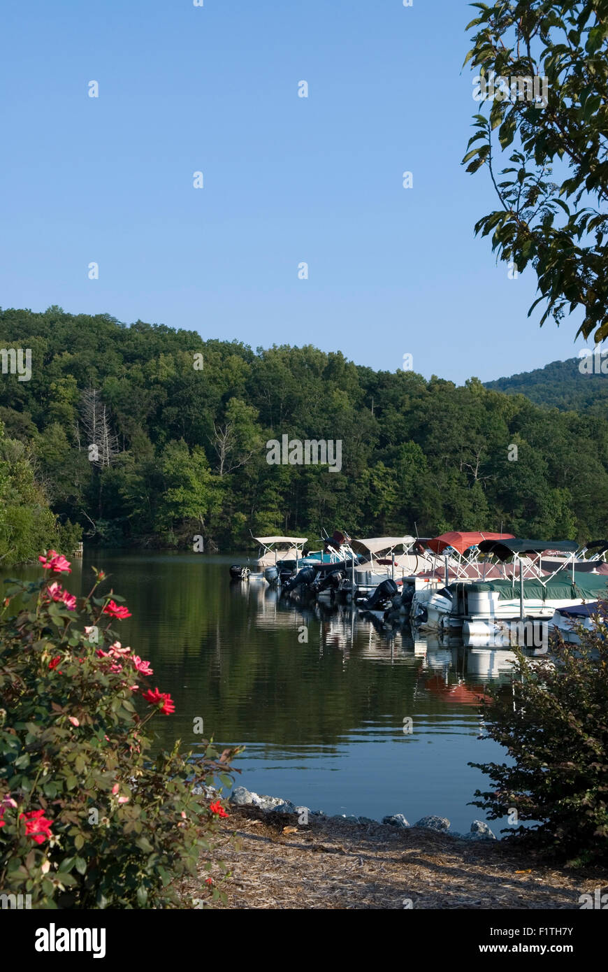 Lake Lure North Carolina Usa Stock Photo 87206895 Alamy