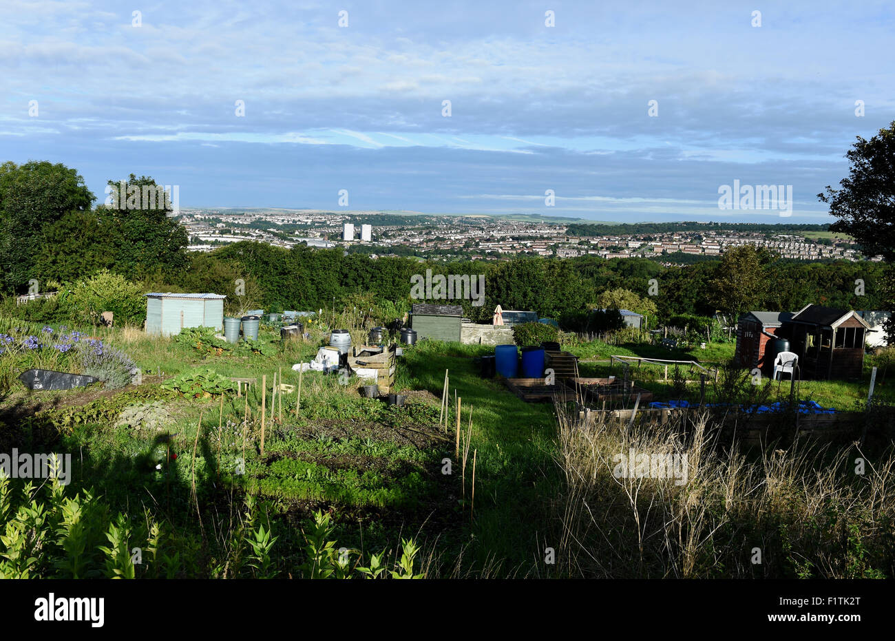 Tenantry Down Allotments overlooking city of Brighton Sussex UK Stock Photo