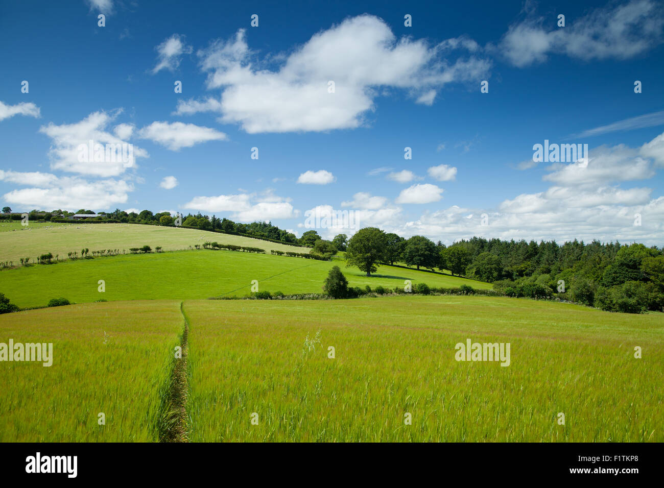 Rural walk hi-res stock photography and images - Alamy