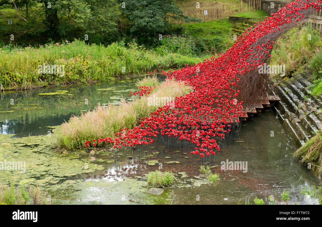Ceramic Poppies on display at the Yorkshire Sculpture Park in West Bretton, Wakefield West Yorkshire England UK Stock Photo